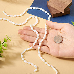 2 Strands Natural Trochus Shell Beads Strands&nbsp;SHEL-TA0001-20