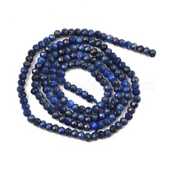 Dyed Natural Lapis Lazuli Beads Strands&nbsp;G-ONLY-T-B05-01A