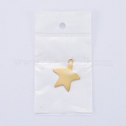 304 Stainless Steel Pendants&nbsp;LS-STAS-I140-13G