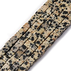 Natural Dalmatian Jasper Beads Strands&nbsp;G-F631-K30