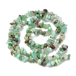 Natural Chrysoprase Beads Strands&nbsp;G-G0004-D01-A-01