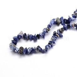 Natural Sodalite Chips Beads Strands&nbsp;G-O049-A-08