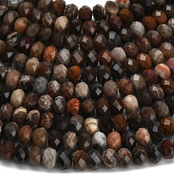 Natural Petrified Wood Beads Strands&nbsp;G-Z111-A50