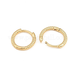 Brass Hoop Earring Findings&nbsp;EJEW-H001-43G-RS