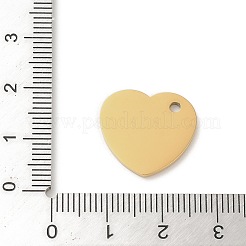 Ion Plating(IP) 304 Stainless Steel Pendants&nbsp;STAS-K270-05G