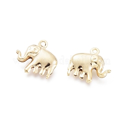 304 Stainless Steel Charms&nbsp;STAS-H413-13G