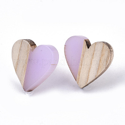 Transparent Resin & Wood Stud Earrings&nbsp;EJEW-N017-002A-D03