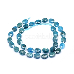 Natural Apatite Beads Strands&nbsp;G-L552J-01B