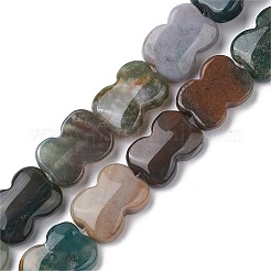 Natural Indian Agate Beads Strands&nbsp;G-K359-D04-01