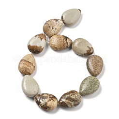 Natural Picture Jasper Beads Strands&nbsp;G-P528-L24-01