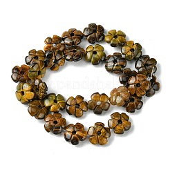 Natural Tiger Eye Beads Strands&nbsp;G-H023-B12-01
