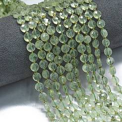Natural Prehnite Beads Strands&nbsp;G-K389-B39-01