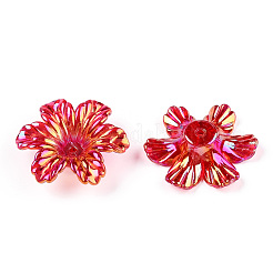 Transparent Acrylic Bead Caps&nbsp;PACR-N015-11