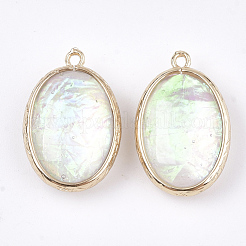 Resin Pendants&nbsp;RESI-S373-04
