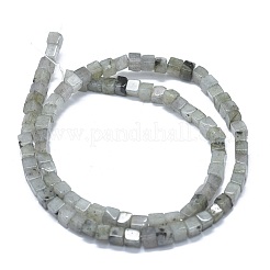 Natural Labradorite Beads Strands&nbsp;G-F631-C08