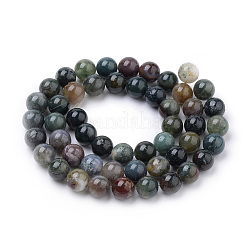 Natural Indian Agate Beads Strands&nbsp;G-S259-31-8mm