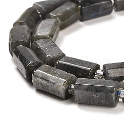 Natural Larvikite Beads Strands&nbsp;G-G068-A21-01