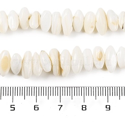 Natural Anomaly Freshwater Shell Beads Strands&nbsp;BSHE-S304-05C