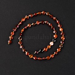 Natural Carnelian Beads Strands&nbsp;G-K389-B43-01