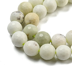 Natural Dendritic Jasper Beads Strands&nbsp;G-E571-A05-03