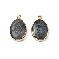 Natural Labradorite Pendants&nbsp;G-N326-130-05