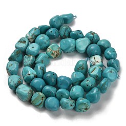 Natural Turquoise Beads Strands&nbsp;G-P497-01E-91