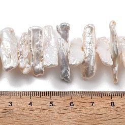 Natural Baroque Keshi Pearl Beads Strands&nbsp;PEAR-P064-03B-02C
