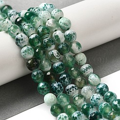 Dyed & Heated Natural Fire Crackle Agate Beads Strands&nbsp;G-P539-B01-21