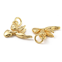 Rack Plating Brass Micro Pave Cubic Zirconia Charms&nbsp;KK-E093-02G