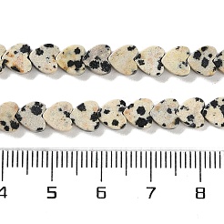 Natural Dalmatian Jasper Beads Strands&nbsp;G-M403-A31-02
