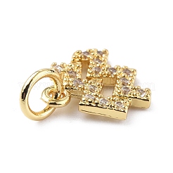Brass Micro Pave Cubic Zirconia Charms&nbsp;ZIRC-F131-16G-04