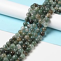 Natural Fuchsite Beads Strands&nbsp;G-K285-40C-1