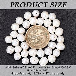 Grade A Natural Cultured Freshwater Pearl Beads Strands&nbsp;PEAR-NB0001-27