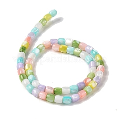 Natural Trochid Shell/Trochus Shell Beads Strands&nbsp;BSHE-H018-05