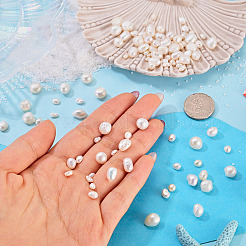 100Pcs 4 Styles Natural Cultured Freshwater Pearl Beads&nbsp;PEAR-TA0001-38