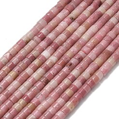 Natural Rhodonite Beads Strands&nbsp;G-P608-A16-01
