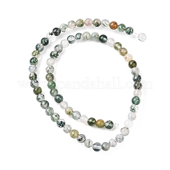 Natural Moss Agate Beads Strands&nbsp;G-Z116-A05-3mm