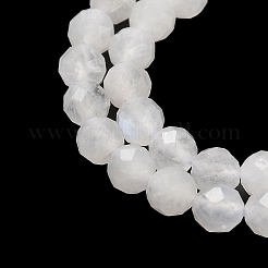 Natural Rainbow Moonstone Beads Strands&nbsp;G-B074-B07-03