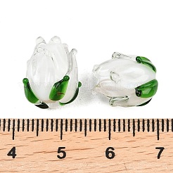 Handmade Lampwork Beads&nbsp;LAMP-K045-01C