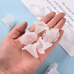 Transparent Frosted Acrylic Flower Beads&nbsp;X-BSF796