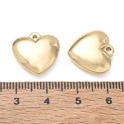 304 Stainless Steel Pendants&nbsp;SA-CBA3037-20G-09