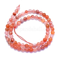 Natural South Red Agate Beads Strands&nbsp;G-K310-C03-6mm-01