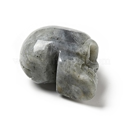 Halloween Natural Labradorite Display Decorations&nbsp;DJEW-K015-29