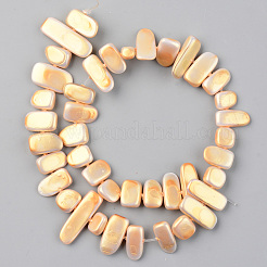 Spray Painted Natural Freshwater Shell Beads Strands&nbsp;SHEL-S276-89E