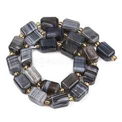 Natural Botswana Agate Beads Strands&nbsp;G-P611-A01-02