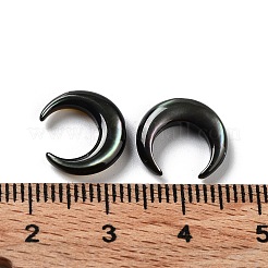 Natural Black Lip Shell Beads&nbsp;SHEL-M020-04A