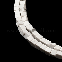 Natural Howlite Beads Strands&nbsp;G-B064-A12