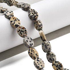 Natural Dalmatian Jasper Beads Strands&nbsp;G-P559-B08-01