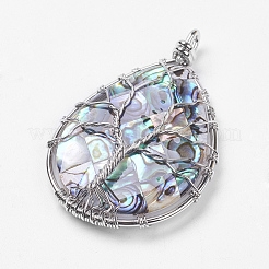 Abalone Shell/Paua Shell Big Pendants&nbsp;KK-P118-03P