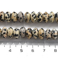Natural Dalmatian Jasper Beads Strands&nbsp;G-P559-A01-02